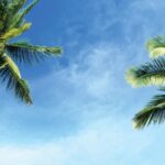 Girasoles y rayos de sol: Celebración de madre e hija