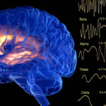 Una polémica prueba para ‘leer la mente’ de presuntos criminales gana terreno en la India y amenaza con llegar a Sudamérica