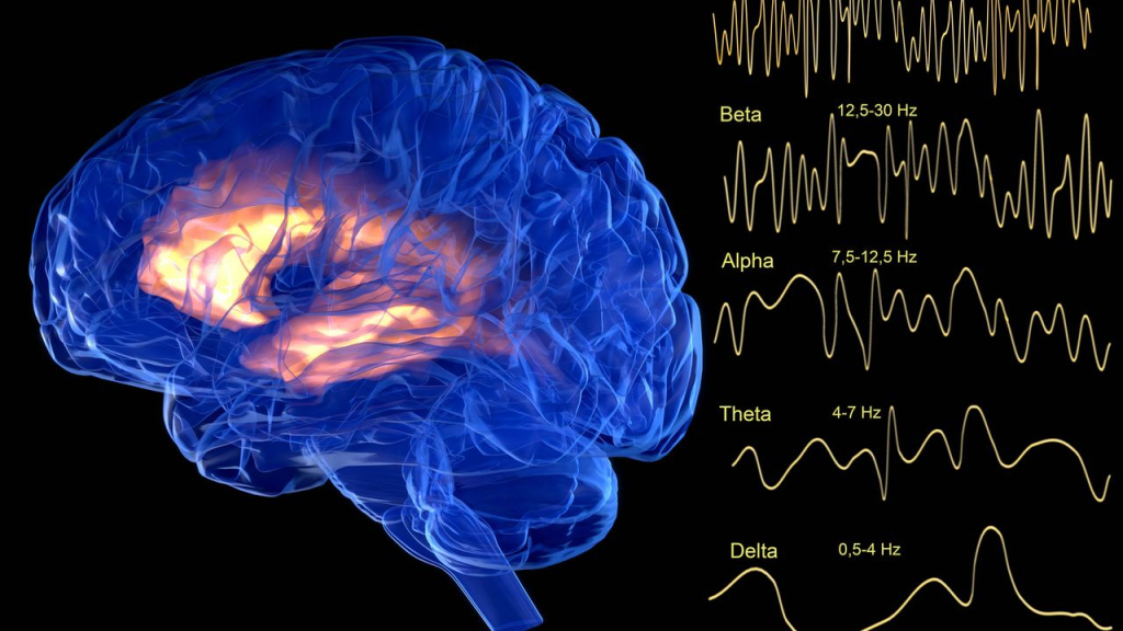 Una polémica prueba para ‘leer la mente’ de presuntos criminales gana terreno en la India y amenaza con llegar a Sudamérica