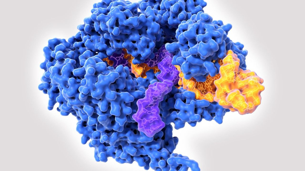 Las terapias CRISPR acaban de dar un salto sin precedentes: ya es posible insertar un gen entero