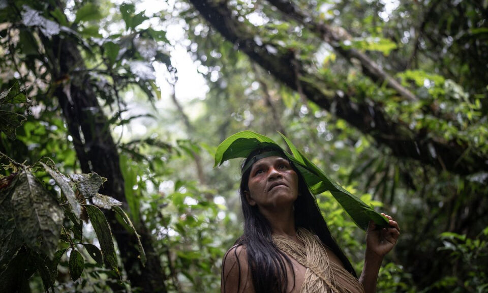 Cómo la migración más extensa de la prehistoria dio forma a la genética de los nativos americanos