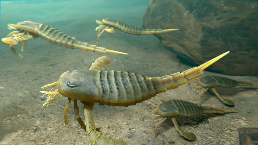 ¿Por qué son sensibles los dientes? Por que provienen de la coraza de un molusco de hace 500 millones de años, dice estudio
