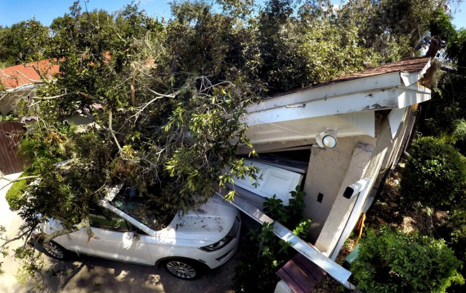 Temporada de huracanes 2025: ¿Cómo protege su hogar de los árboles?