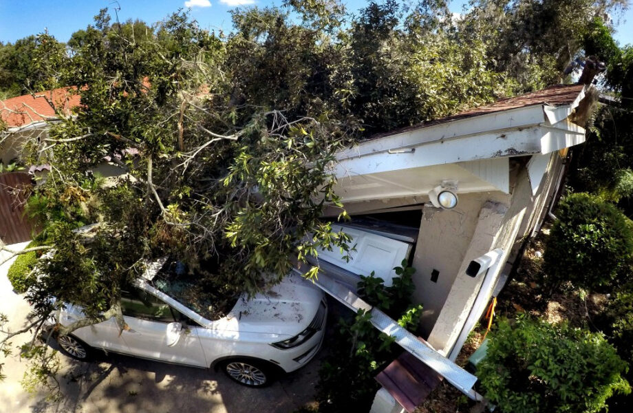 Temporada de huracanes 2025: ¿Cómo protege su hogar de los árboles?