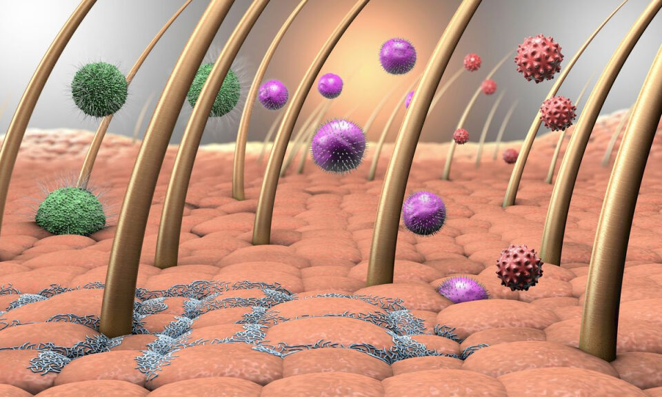 Detectan bacterias en la piel que nos protegen de la luz solar