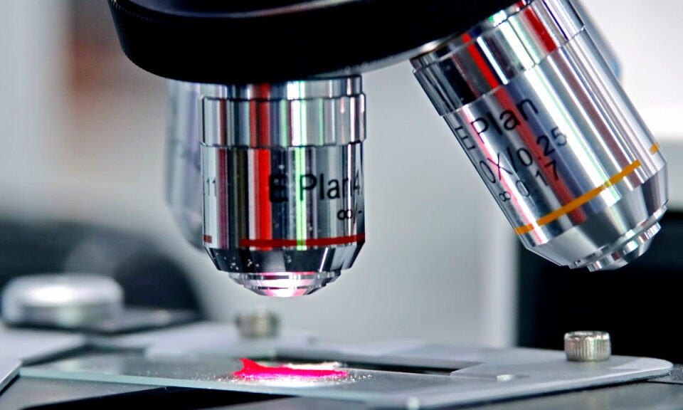 El español Juan Pérez Mercader se convierte en el primer científico en crear vida artificial sin bioquímica