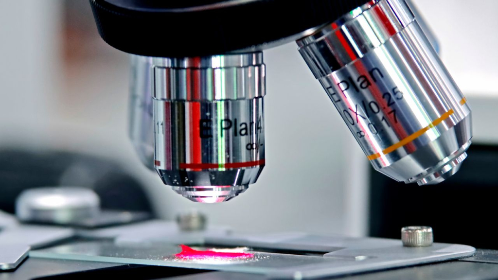 El español Juan Pérez Mercader se convierte en el primer científico en crear vida artificial sin bioquímica