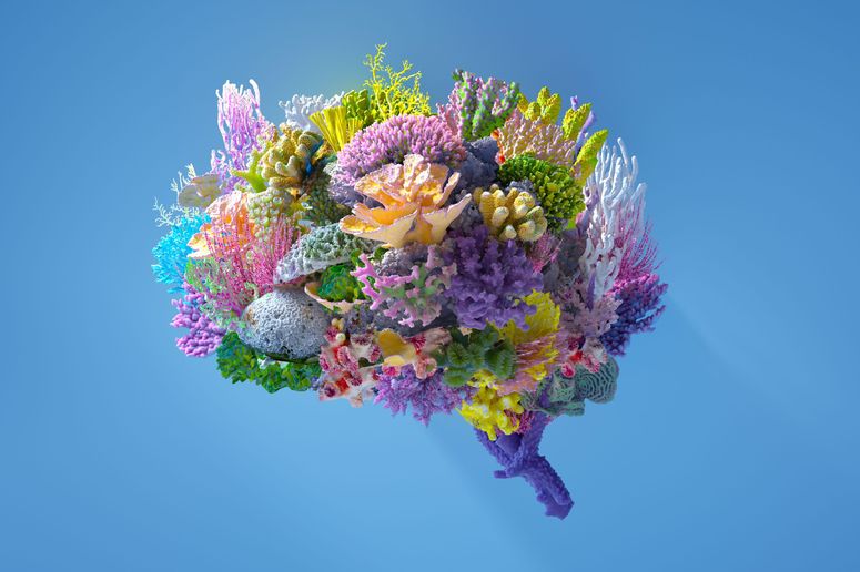 Imagen de un cerebro construido a partir de corales marinos de colores