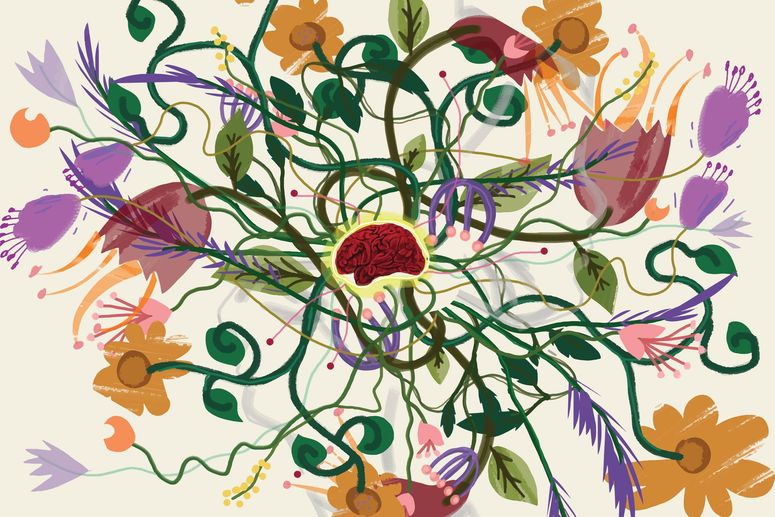 concepto de consciencia.