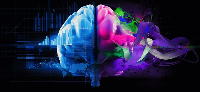 Un concepto de los dos hemisferios cerebrales