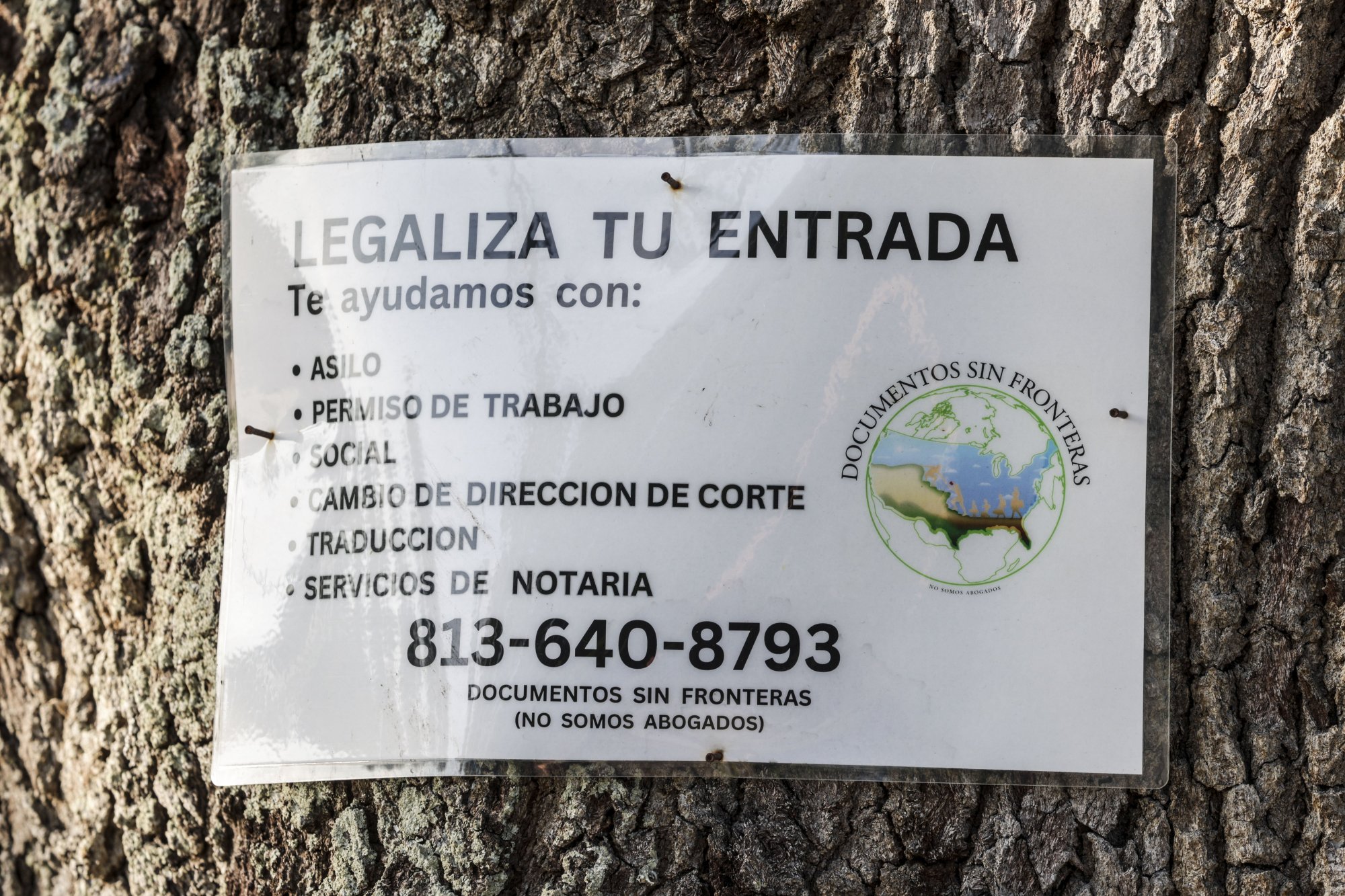 Un signo publicado por documentos sin fronteras, anuncia asistencia con asilo, permisos de trabajo, seguridad social, cambios en las direcciones judiciales, traducción y servicios notarios en un árbol fuera del Departamento de Oficinas de Seguridad Nacional en Tampa. (Douglas R. Clifford/Tampa Bay Times)