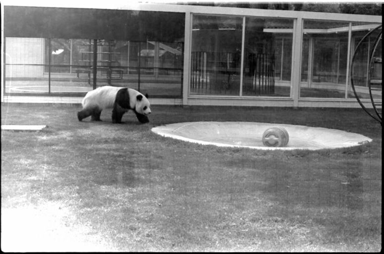 Visita al zoológico de Chapultepec en julio de 1978.