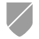 Escudo/Bandera TNS