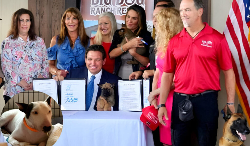 Ley Trooper: Florida castiga con cárcel el abandono de animales durante desastres