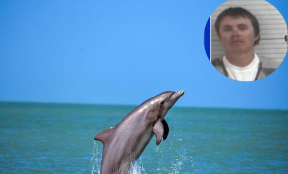 Pescador de Florida disparó y envenenó delfines: Lo condenan a prisión y multa de $51,000