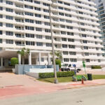 Rescatan a perro en North Miami: su dueño lo arrastró y lanzó por las escaleras