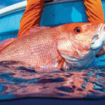 DeSantis quiere que Florida controle la pesca del pargo rojo en toda la costa