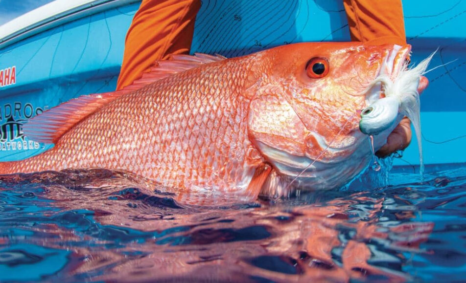 DeSantis quiere que Florida controle la pesca del pargo rojo en toda la costa