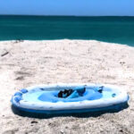 Niña por poco pierde su mano tras ataque de tiburón cerca de Fort Myers