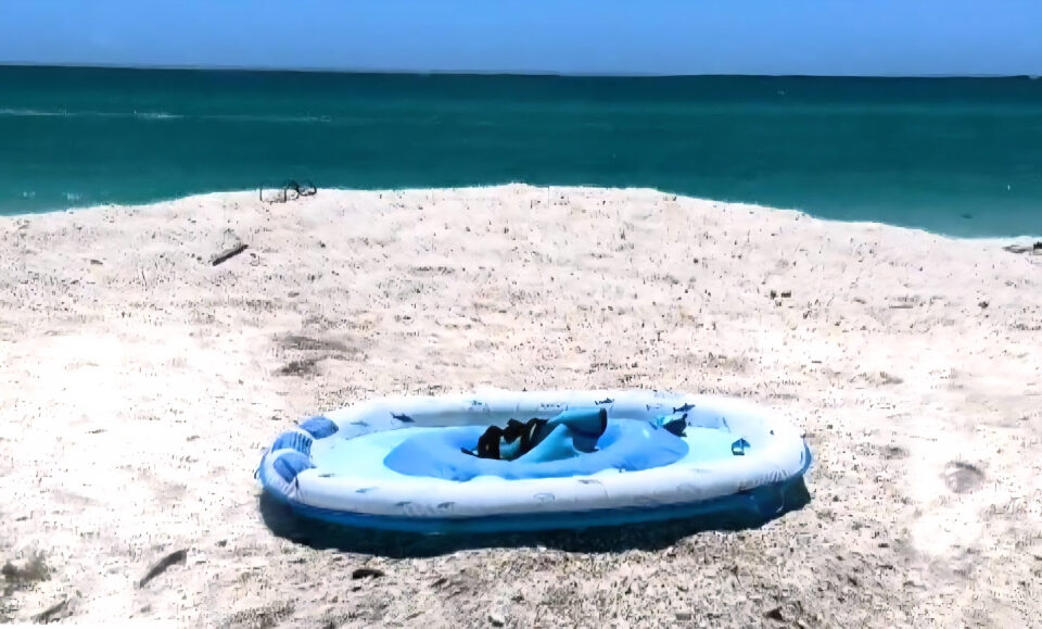 Niña por poco pierde su mano tras ataque de tiburón cerca de Fort Myers