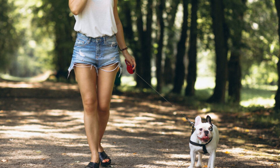 Palm Beach en alerta por agresor que ataca a mujeres mientras pasean a sus perros