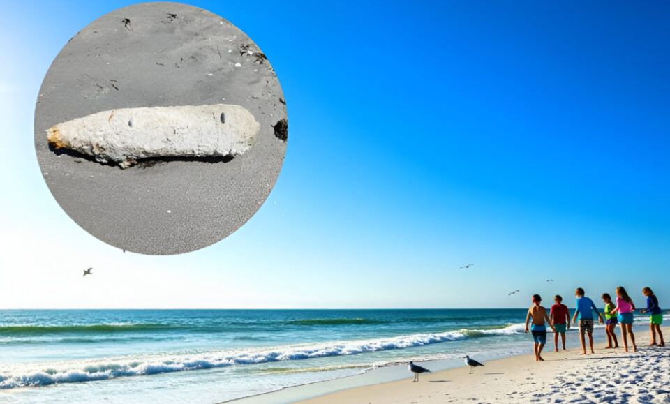 Niños hallan bomba de la Segunda Guerra Mundial en playa de Florida