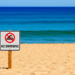Con 90% de bacterias: playa de Miami es la más contaminada de Florida