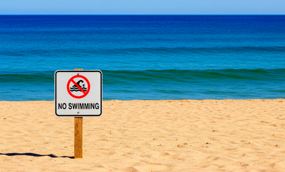 Con 90% de bacterias: playa de Miami es la más contaminada de Florida