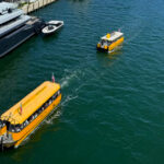 Miami Beach da primer paso hacia un sistema permanente de taxis acuáticos
