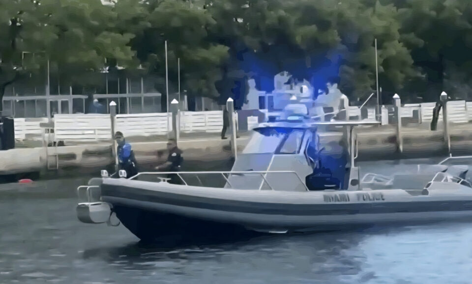 Mujer al borde de la muerte tras ser empujada al Miami River: responsable arrestado