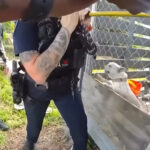 Fort Lauderdale presenta unidad policial especializada contra el maltrato animal
