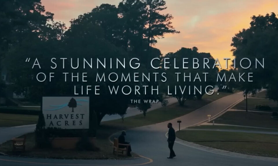 Es una de las mejores películas que verás este año, pero también el fracaso más sonado del 2025: en España se estrena en dos meses