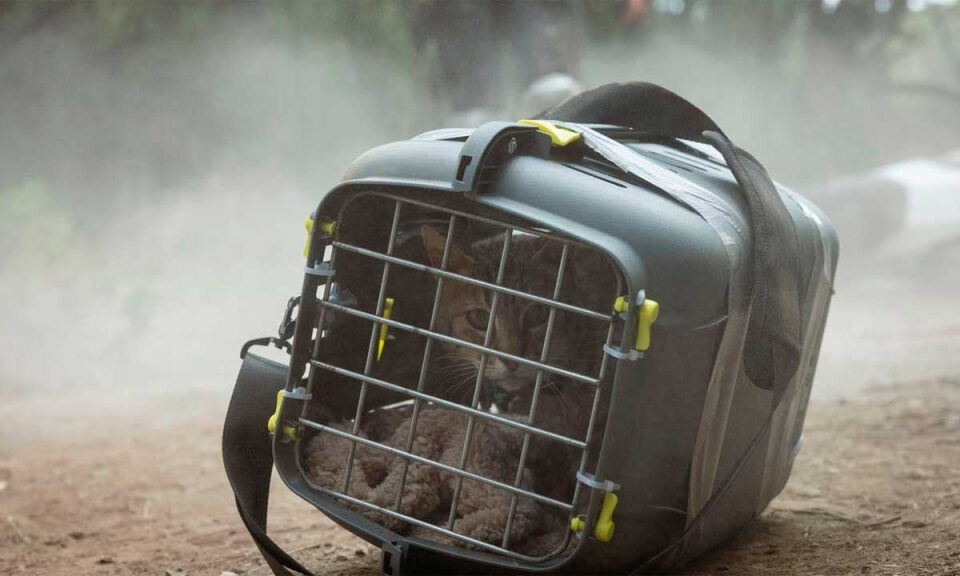 El fenómeno de ciencia ficción español de Prime Video volverá dos años después: su primera película secuela será realidad en 2026