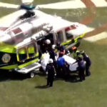 Mujer gravemente herida tras ser atacada por un perro en Hialeah