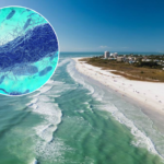Autoridades confirman 4 muertes por bacteria “come carne” en Florida