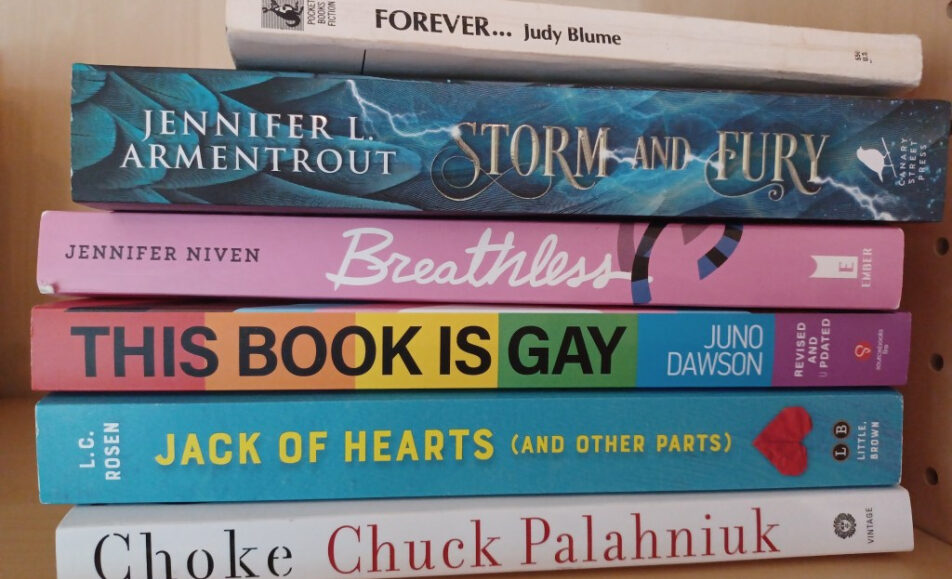 Florida dijo a las bibliotecas escolares que tiraran los libros ‘pornográficos’: la mayoría nunca había sido revisada