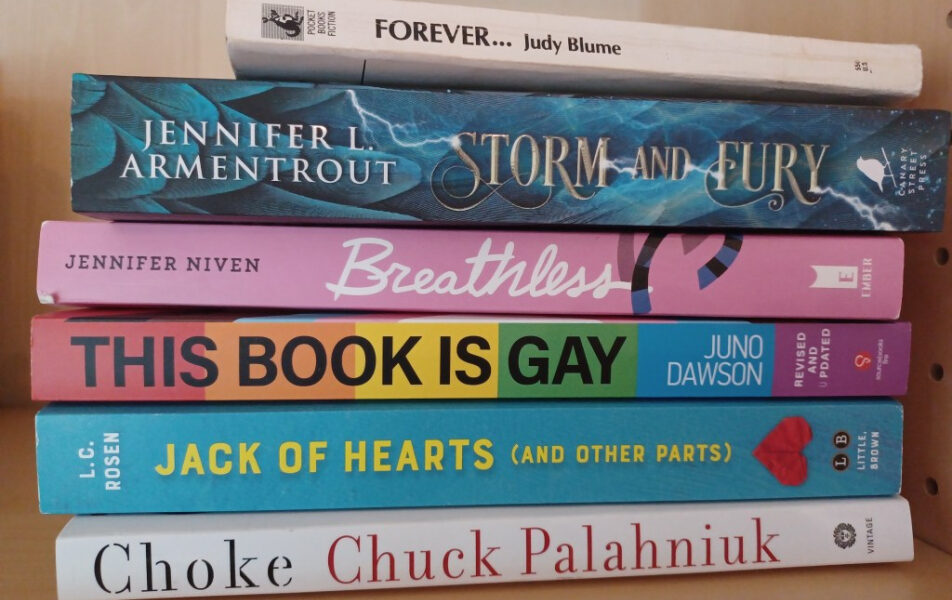 Florida dijo a las bibliotecas escolares que tiraran los libros ‘pornográficos’: la mayoría nunca había sido revisada