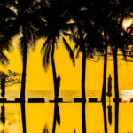 Calor intenso y lluvias esporádicas se apoderan de Miami esta semana