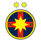 Escudo/Bandera Steaua