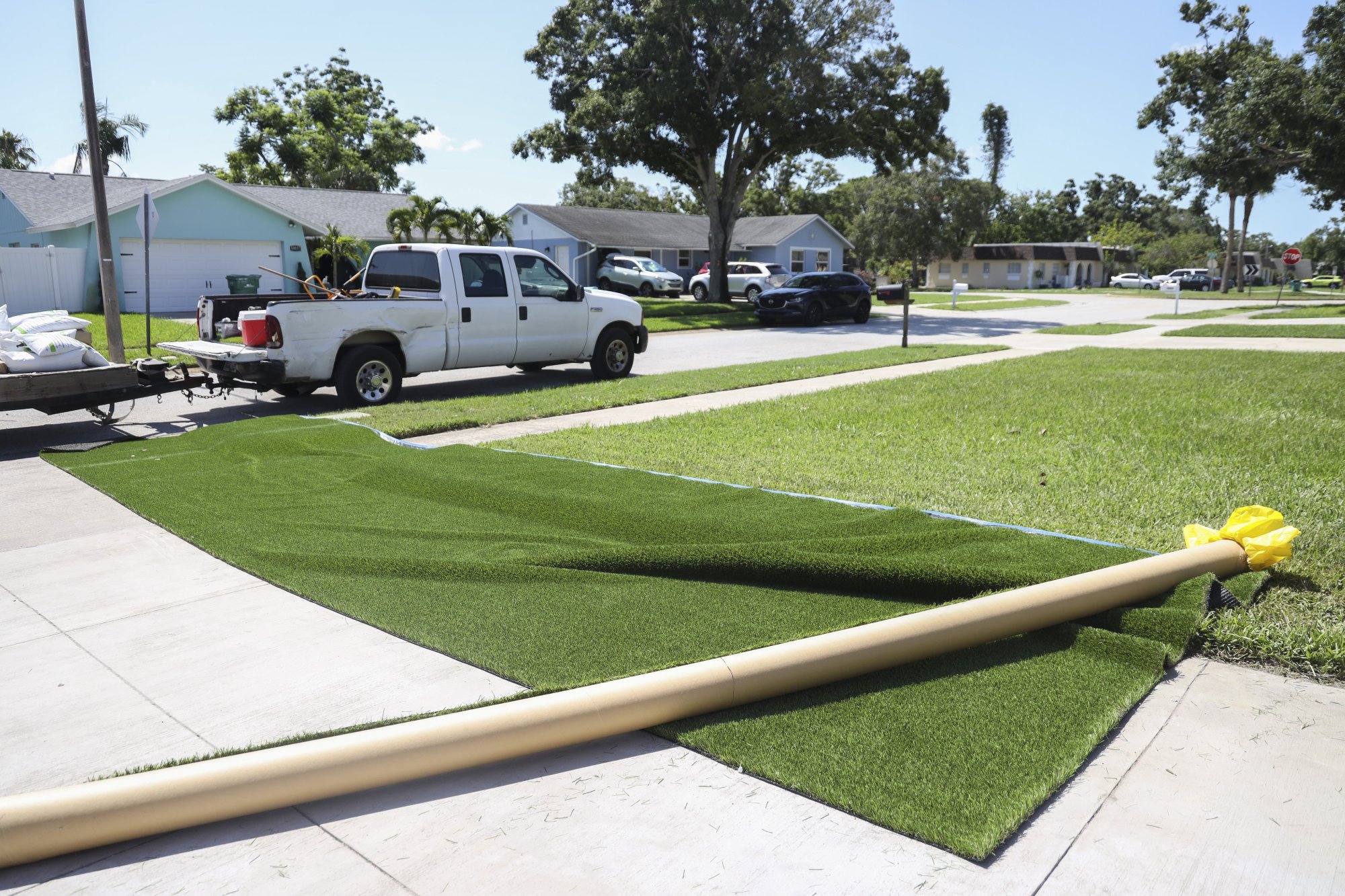 Un rollo de césped artificial se encuentra cerca del césped de hierba natural de un vecino. (Lily Spedelozzi/Tampa Bay Times/TNS)