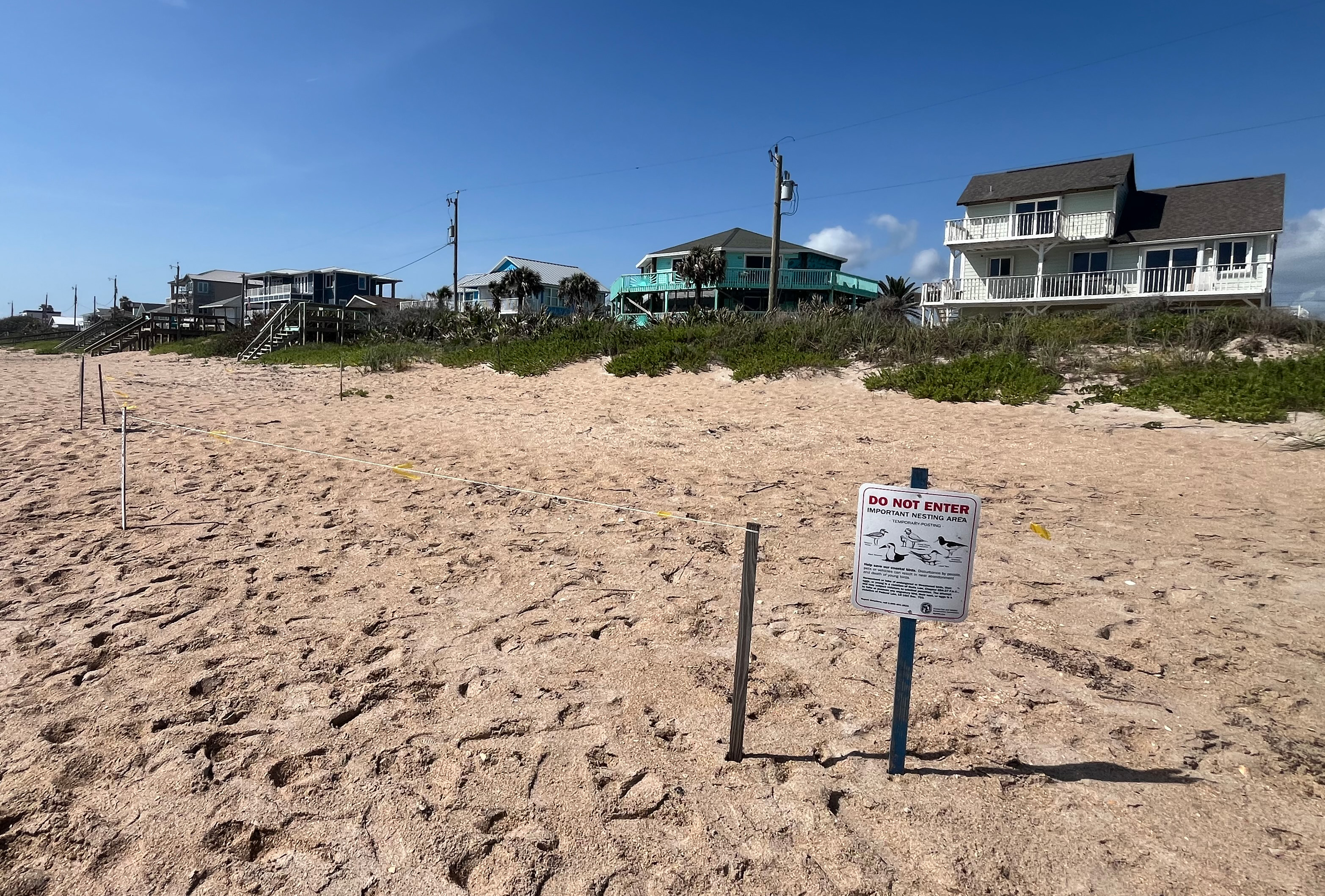 Los científicos ambientales del condado de Volusia bordearon el mes pasado un área y registraron un letrero cerca de Bethune Beach en la primavera de 2025 para advertir a los espectadores de la playa sobre varios nidos para los chóvenes de Wilson, un pequeño pájaro marrón y blanco que se reproduce a lo largo de las costas de Florida. Las aves construyen nidos y ponen huevos en la arena. (Foto cortesía del condado de Volusia)