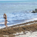 Florida encabeza inversión federal en restauración de playas, ¿cuánto gasta?