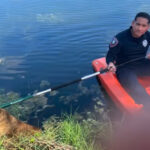 Policías rescatan a perro que flotaba en un canal de Pembroke Pines
