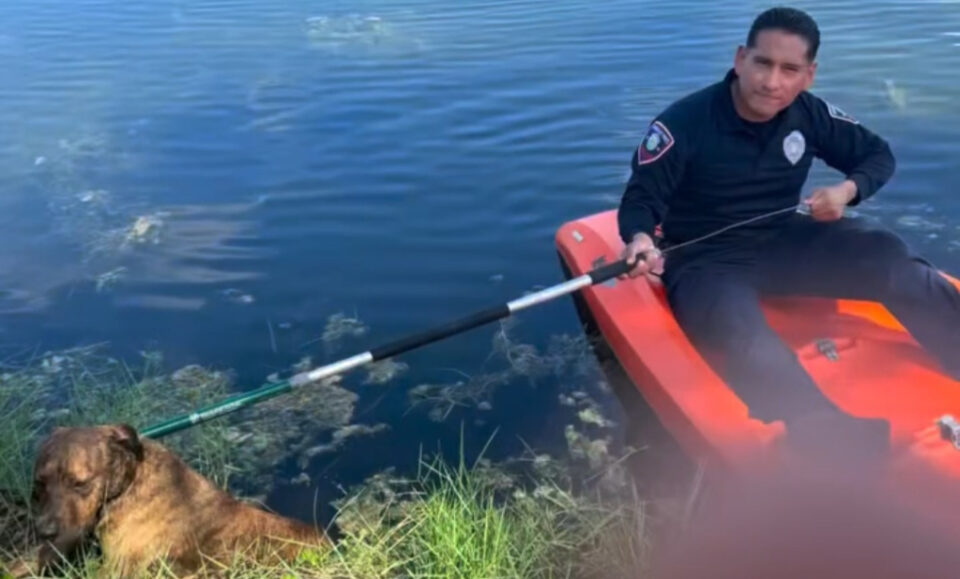 Policías rescatan a perro que flotaba en un canal de Pembroke Pines