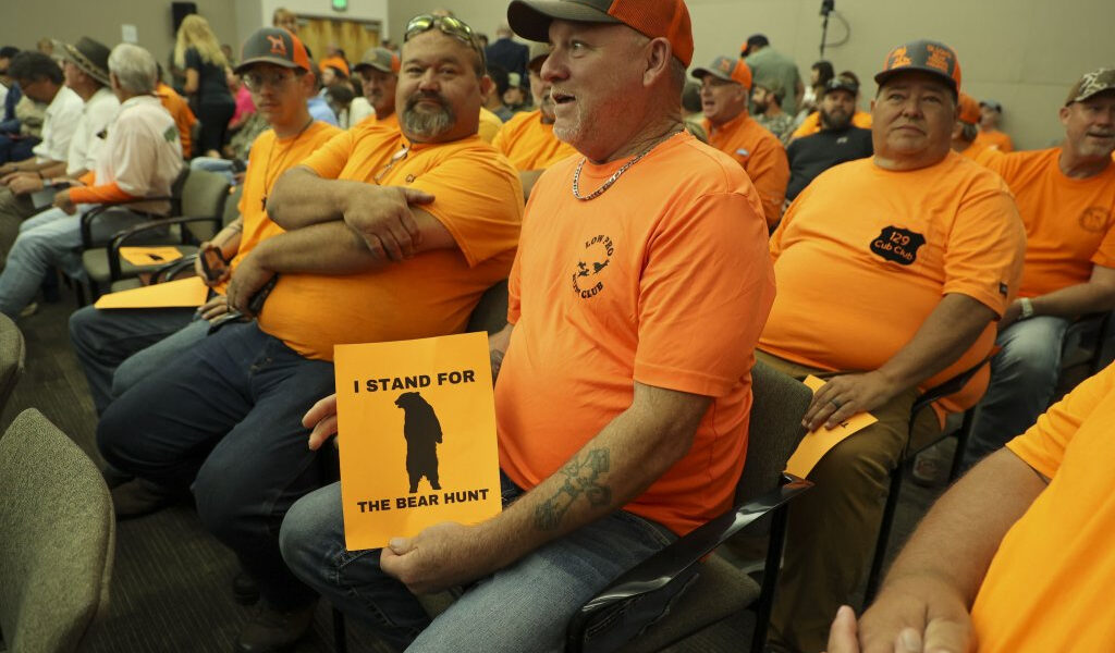 Un hombre disparó y mató a un oso en su patio. No enfrentará cargos.