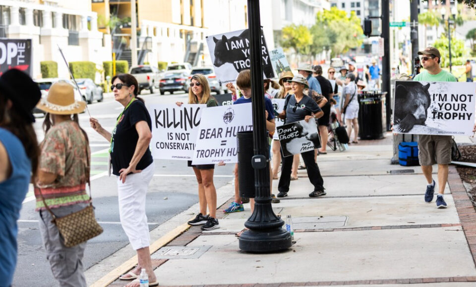 Los enemigos de la caza del osito de Florida tienen como objetivo detenerlo o hacerlo «menos cruel» en la votación final el miércoles