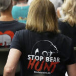 Bear Advocates presentan un desafío legal a la caza de osos de Florida