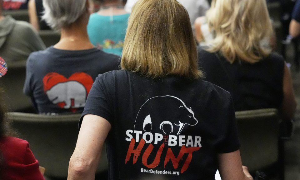 Bear Advocates presentan un desafío legal a la caza de osos de Florida