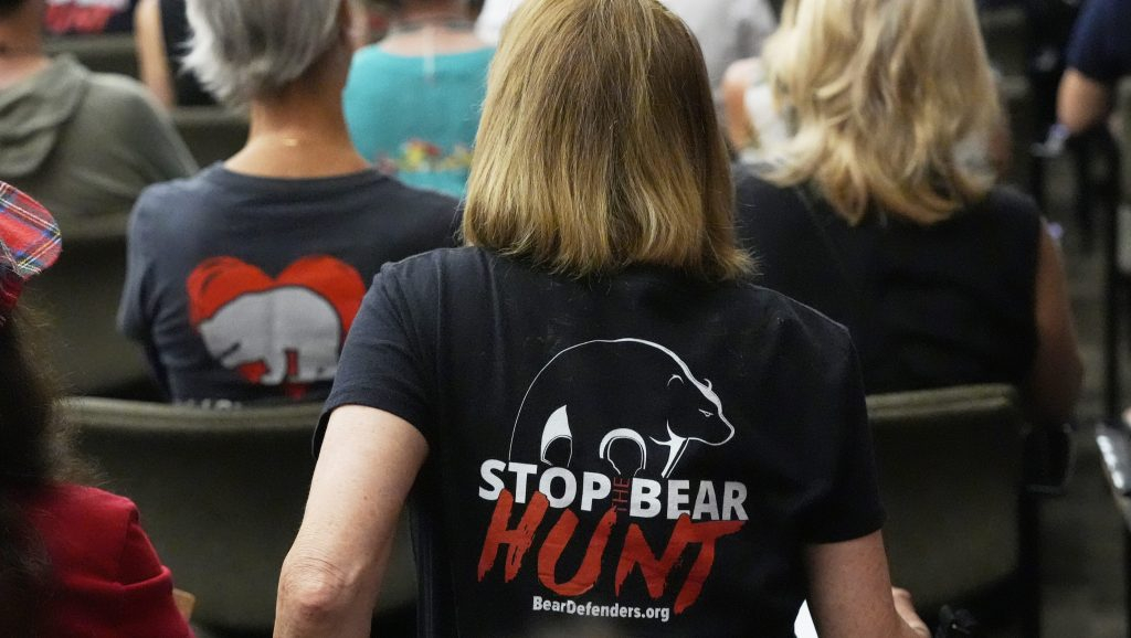 Bear Advocates presentan un desafío legal a la caza de osos de Florida