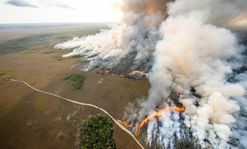 Incendio sigue arrasando los Everglades y desafía a los servicios de emergencia